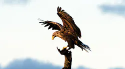 ec1705_46