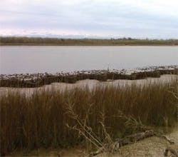 Ec201729 300x264 Ec201729 300x264