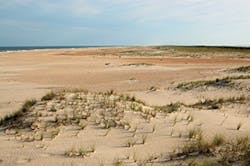 Sw1705 361 Sw1705 361