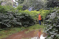 Sw1705 48 2 Sw1705 48 2