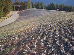 Ec1706 161 Ec1706 161