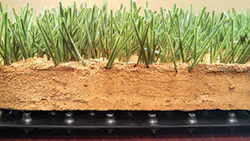 Watershed Geo 6 300x169 Watershed Geo 6 300x169