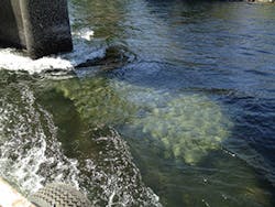 Ec1707 20 300x225 Ec1707 20 300x225