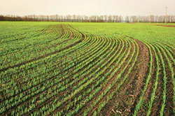 Ec1707 30 300x199 Ec1707 30 300x199