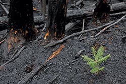 Ec1707 32 2 300x200 Ec1707 32 2 300x200