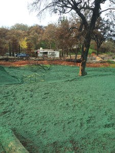 Ec1707 34 225x300 Ec1707 34 225x300