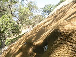 Ec1707 42 1 300x225 Ec1707 42 1 300x225