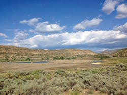 Ec1709 46 2 300x225 Ec1709 46 2 300x225