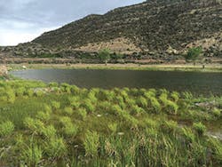 Ec1709 47 300x225 Ec1709 47 300x225