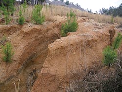 Ec1711 34 1 Ec1711 34 1