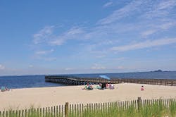 Sw1710 48 1 300x199 Sw1710 48 1 300x199