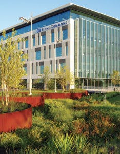 Sw1711 25 234x300 Sw1711 25 234x300