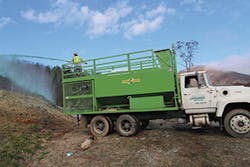 Bowie 1 300x200 Bowie 1 300x200