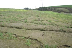 Ec1801 28 2 Ec1801 28 2