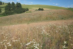 Ec1801 30 1 Ec1801 30 1