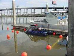 Piranha 300x225