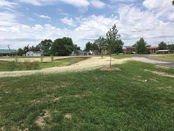 Diehl Park with bioretention swale and newly planted trees Diehl Park with bioretention swale and newly planted trees