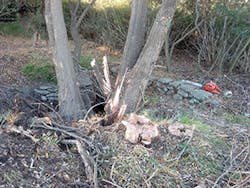 Ec1811 40 1 Ec1811 40 1