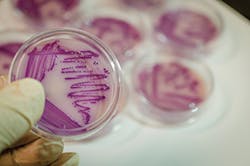 Sw1901 26 4 Sw1901 26 4