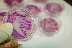 Sw1901 26 4 Sw1901 26 4