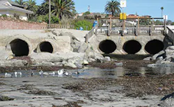 Sw1901 37 1 Sw1901 37 1