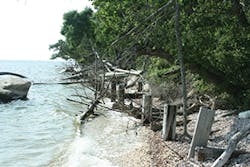 Ec1901 46 1 Ec1901 46 1