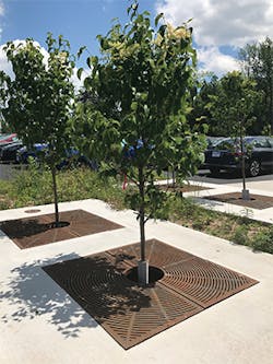 Sw1903 26 1 Sw1903 26 1