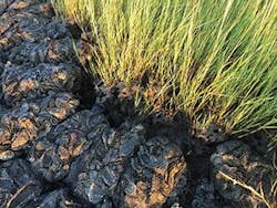 Ec1905 28 300x225 Ec1905 28 300x225