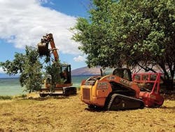 Ec1905 34 300x225 Ec1905 34 300x225