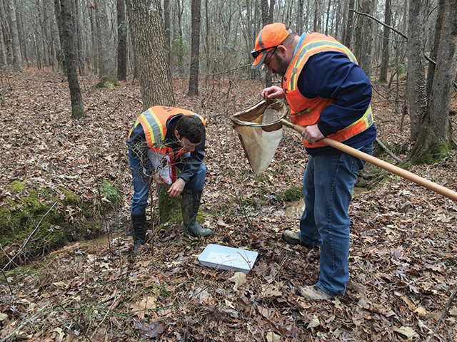 Sw1906 34 5cdc4990a40ff