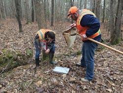 Sw1906 34 5cdc4990a40ff Sw1906 34 5cdc4990a40ff