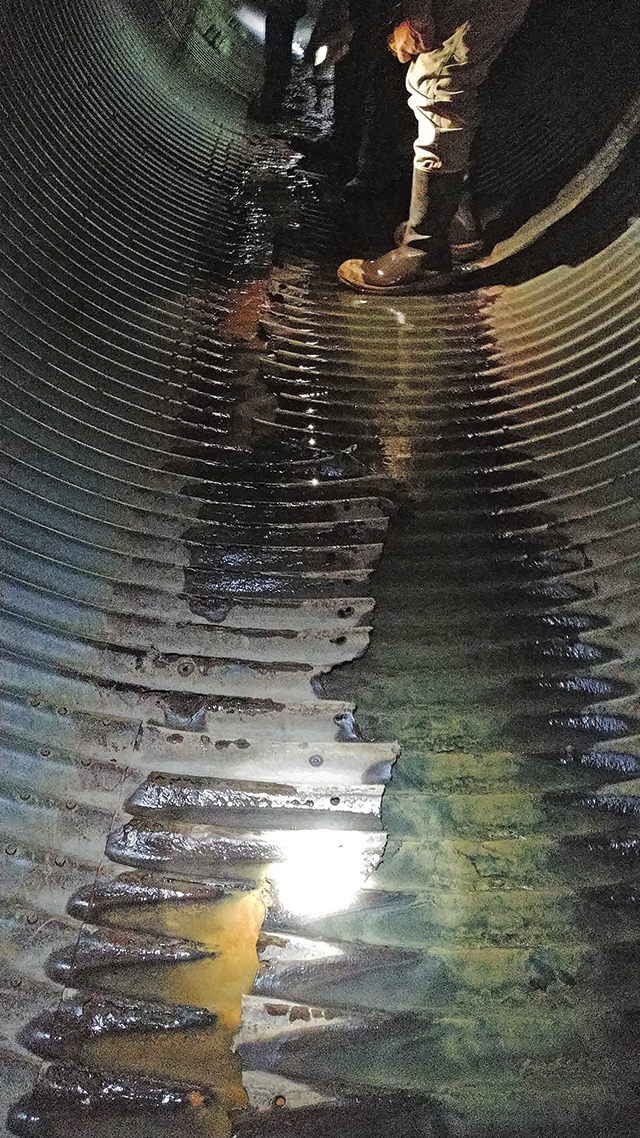 Sw1907 28 5d31e1aa337cc