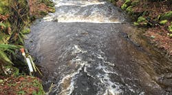 Sw1907 8 Sw1907 8