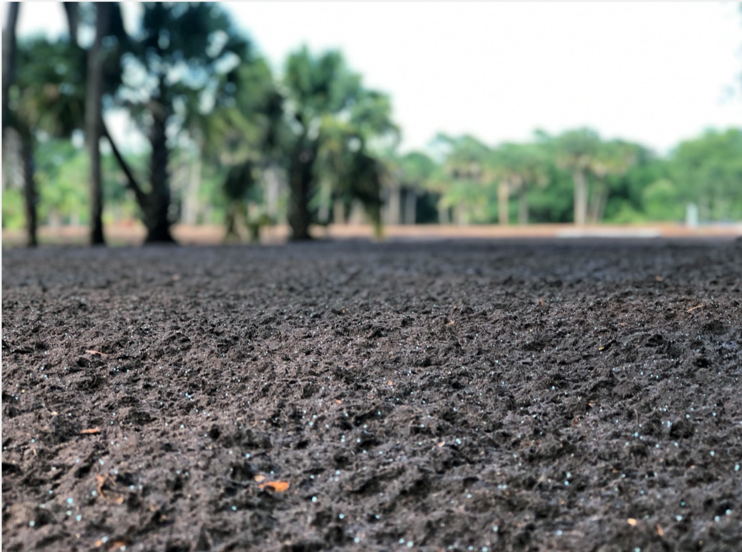 Pro Ganics Dual 1 5d5709fc03b61