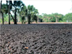 Pro Ganics Dual 1 5d5709fc03b61 Pro Ganics Dual 1 5d5709fc03b61