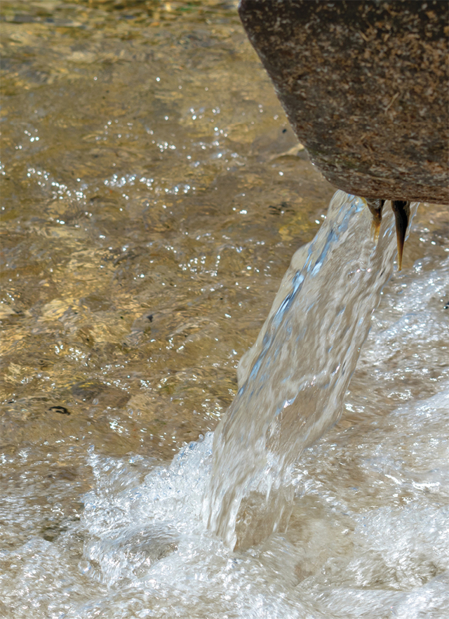 Sw1910 6 5d83f9495eebb