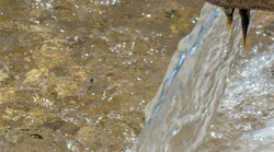 Sw1910 6