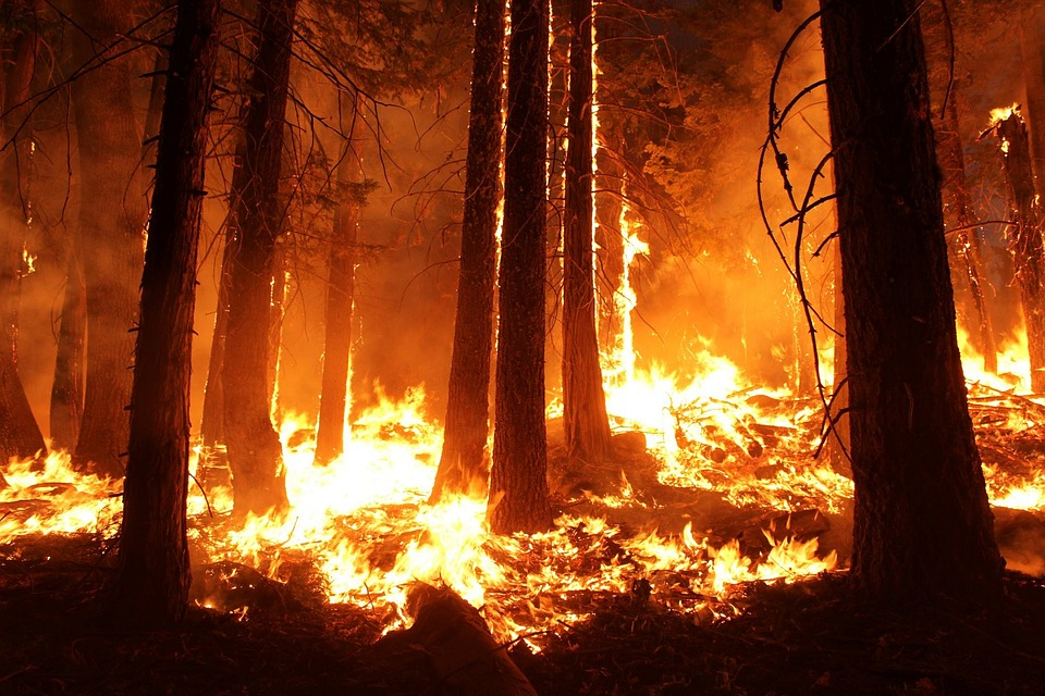 Wildfire 1105209 960 720 5da4e28ea84f8