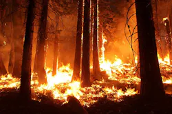 Wildfire 1105209 960 720 5da4e28ea84f8