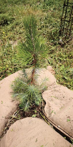 Ec1911 28 2 Ec1911 28 2