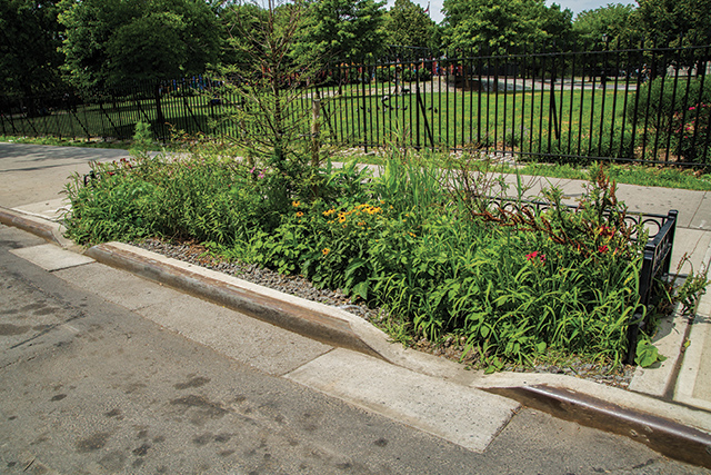 DEP has installed more than 4,000 green infrastructure assets around the city, including 1,327 in the Newtown Creek watershed.