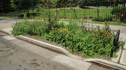 DEP has installed more than 4,000 green infrastructure assets around the city, including 1,327 in the Newtown Creek watershed.