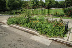 DEP has installed more than 4,000 green infrastructure assets around the city, including 1,327 in the Newtown Creek watershed.