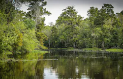 Bayou 439881 1920 5df7a546c6538