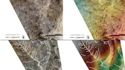 High resolution hill shade orthomosaic of a portion of the Las Lomas watershed. The contour interval is 10 feet and the scale bar is 180 feet. Top: The UAS flight operation was conducted on December 24, 2016, following a series of moderate to intense rainstorms over the burn area. Revised hydrologic flow paths based on the updated digital surface model from the UAS flight are shown as black bold lines and highlight new possible flow directions. On the right, a colored elevation digital terrain model overlay. Bottom: The UAS flight operation was conducted on October 15, 2016, prior to any rainfall over the burn area. Hydrologic flow paths derived in GIS are shown as black bold lines and depict possible paths where water may flow. On the right, a colored elevation digital terrain model overlay.