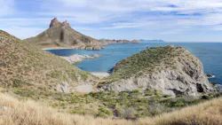 Invasive buffelgrass risks turning the diverse Sonoran Desert ecosystem into a grassland monoculture.