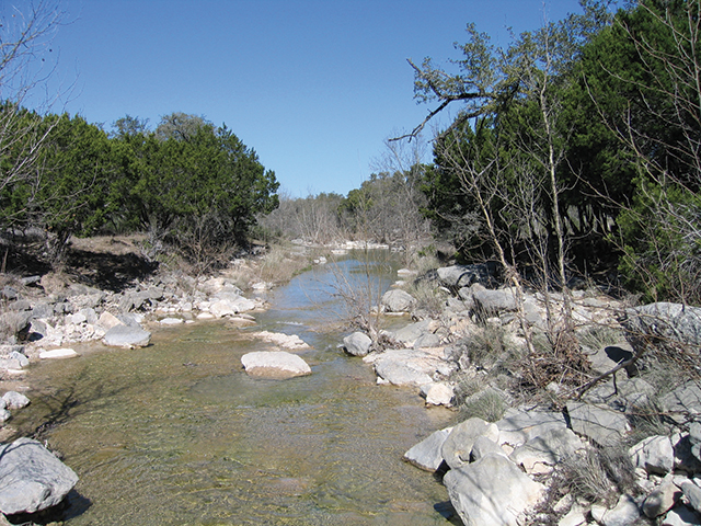 A stream buffer in west Austin