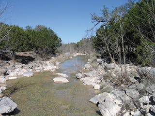 A stream buffer in west Austin