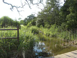 A creek in a natural state.