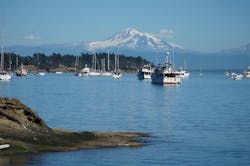 Water 3199706 1920 5df2cd22f16e4 Water 3199706 1920 5df2cd22f16e4